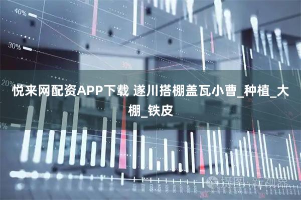 悦来网配资APP下载 遂川搭棚盖瓦小曹_种植_大棚_铁皮