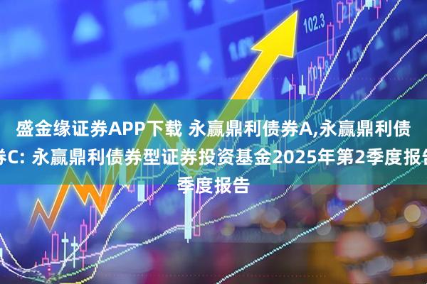 盛金缘证券APP下载 永赢鼎利债券A,永赢鼎利债券C: 永赢鼎利债券型证券投资基金2025年第2季度报告